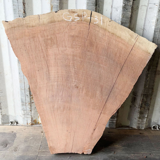 Giant Sequoia Live Edge Piece – 42" x 12.5" x 2.5" – Old Growth, Air-Dried – #GSP-31