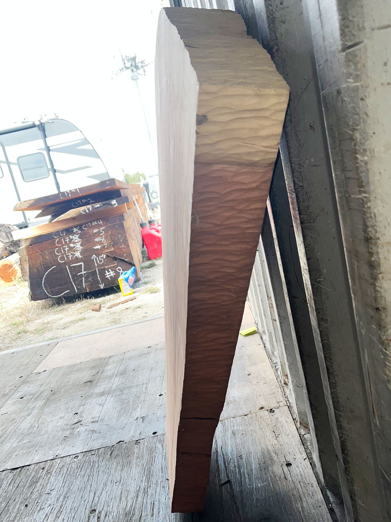 Giant Sequoia Live Edge Piece – 42" x 12.5" x 2.5" – Old Growth, Air-Dried – #GSP-31