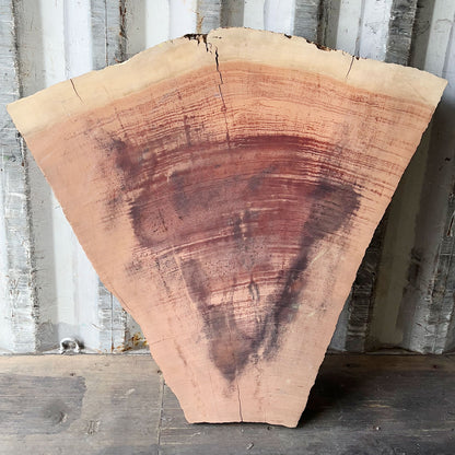 Giant Sequoia Live Edge Piece – 42" x 12.5" x 2.5" – Old Growth, Air-Dried – #GSP-31