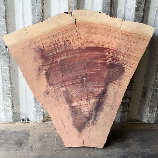 Giant Sequoia Live Edge Piece – 42" x 12.5" x 2.5" – Old Growth, Air-Dried – #GSP-31