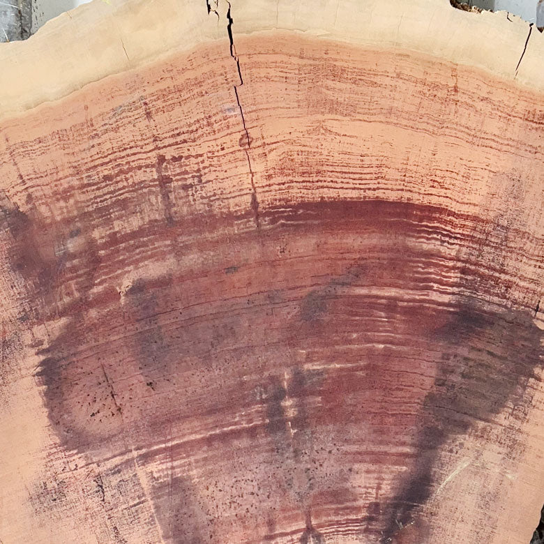 Giant Sequoia Live Edge Piece – 42" x 12.5" x 2.5" – Old Growth, Air-Dried – #GSP-31