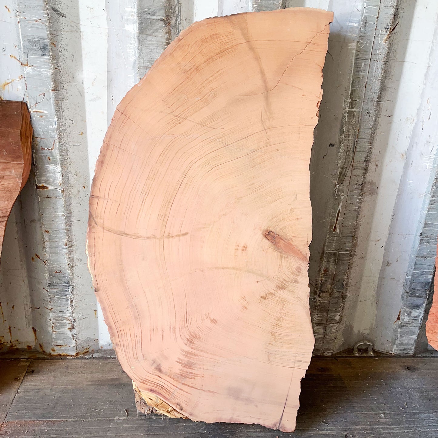 Giant Sequoia Live Edge Piece – 41" x 18" x 3" – Old Growth, Air-Dried – #GSP-35