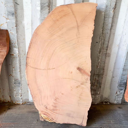 Giant Sequoia Live Edge Piece – 41" x 18" x 3" – Old Growth, Air-Dried – #GSP-35