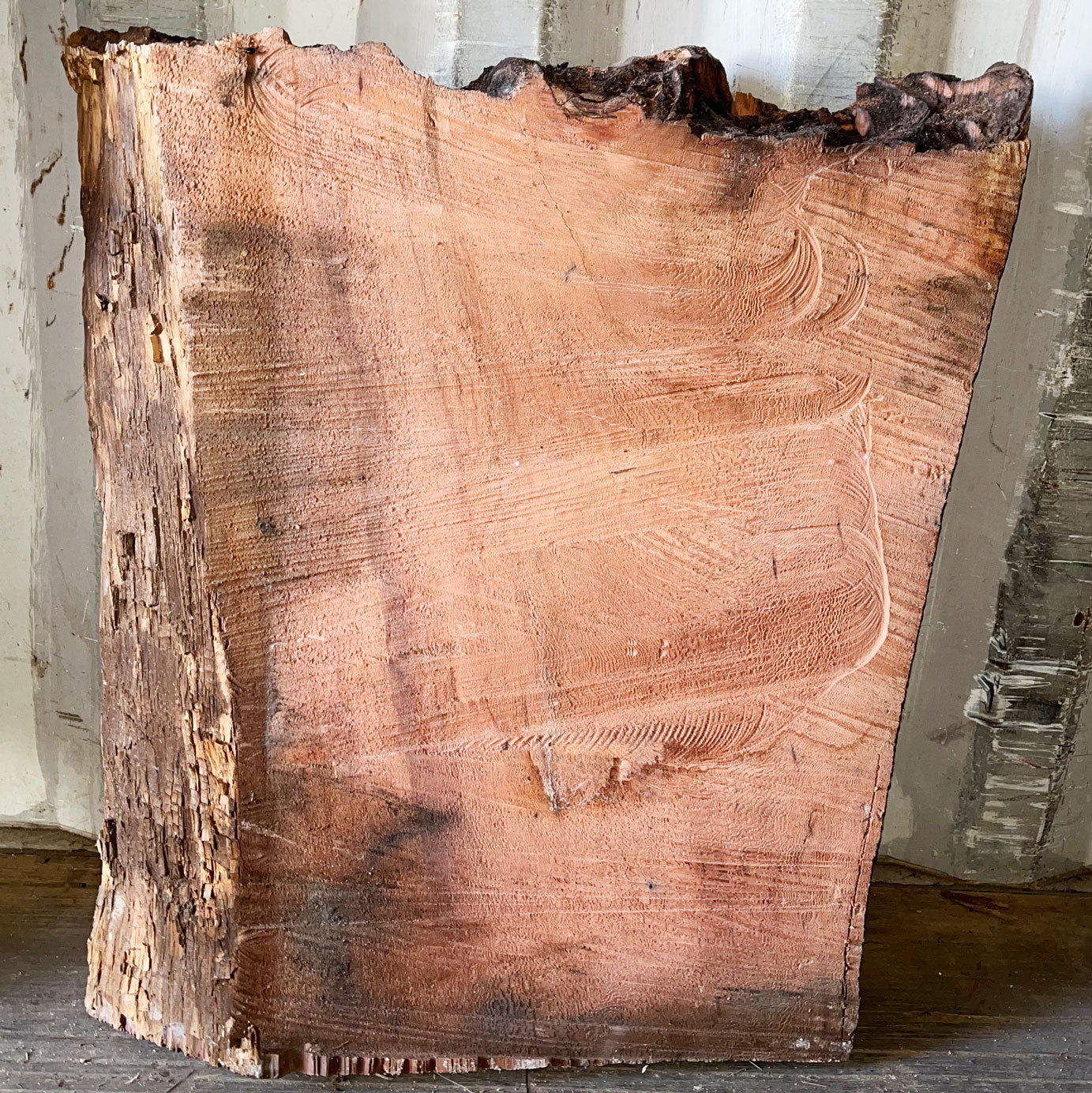 Giant Sequoia Live Edge Piece – 30" x 24" x 2.5" – Old Growth, Air-Dried – #GSP-36