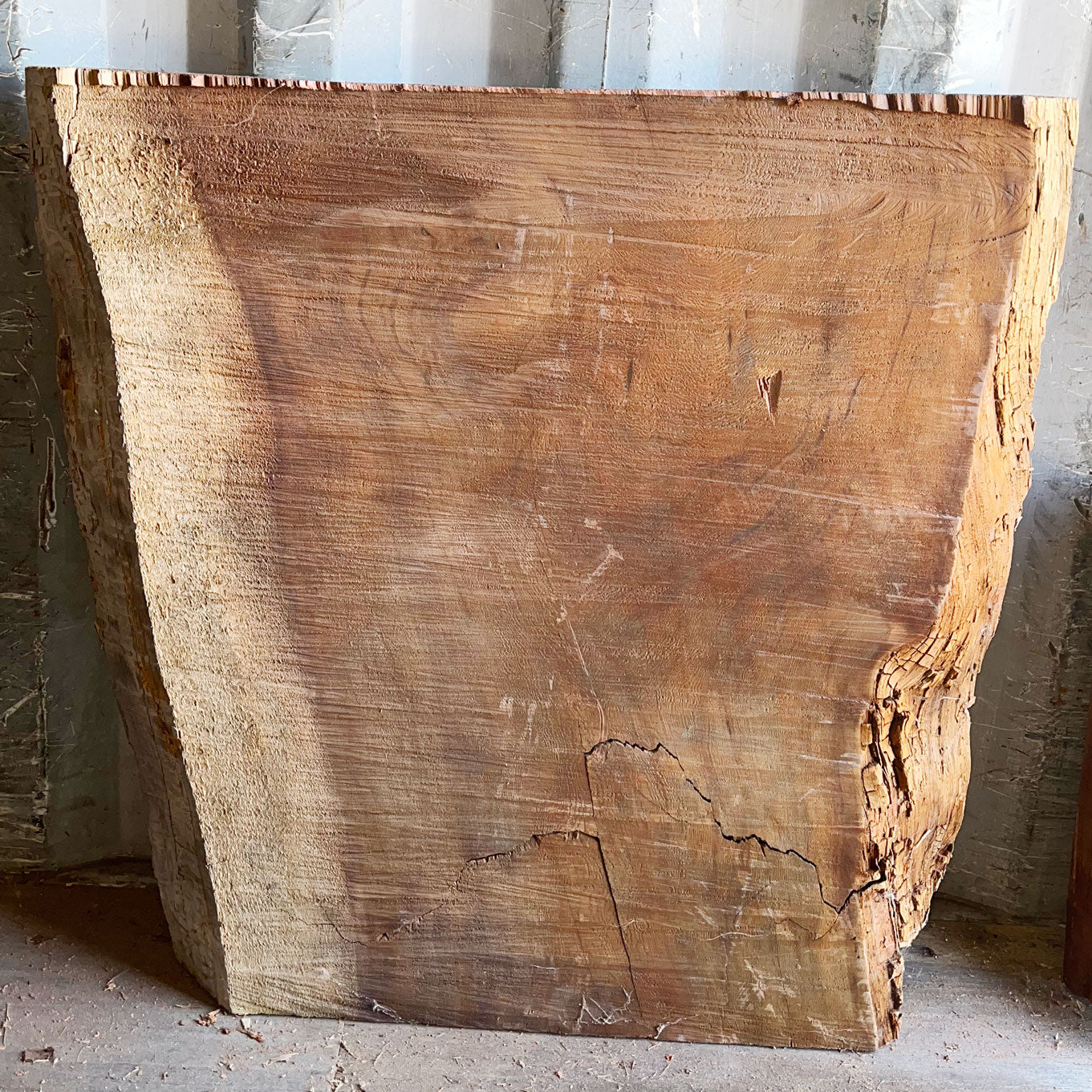 Giant Sequoia Live Edge Piece – 34" x 26.5" x 2.75" – Old Growth, Air-Dried – #GSP-38
