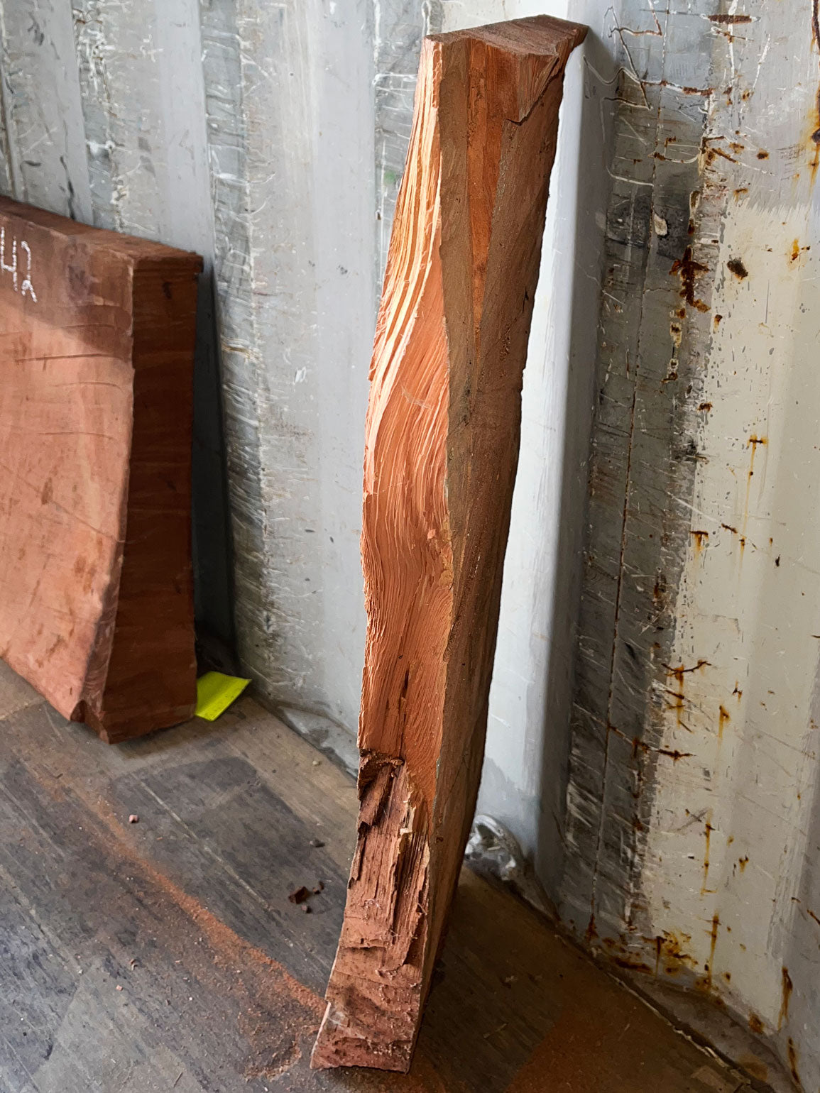 Giant Sequoia Live Edge Piece – 32" x 10.5" x 1.25" – Old Growth, Air-Dried – #GSP-41