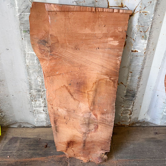 Giant Sequoia Live Edge Piece – 32" x 10.5" x 1.25" – Old Growth, Air-Dried – #GSP-41