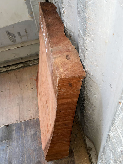 Giant Sequoia Live Edge Piece – 21" x 22" x 2.5" – Old Growth, Air-Dried – #GSP-42