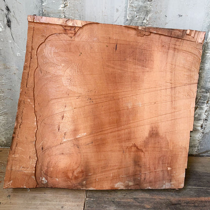 Giant Sequoia Live Edge Piece – 21" x 22" x 2.5" – Old Growth, Air-Dried – #GSP-42