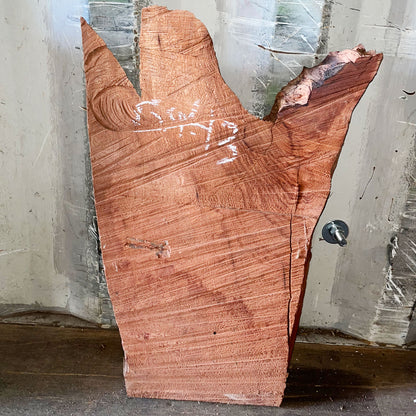 Giant Sequoia Live Edge Piece – 25" x 10.5" x 2" – Old Growth, Air-Dried – #GSP-43