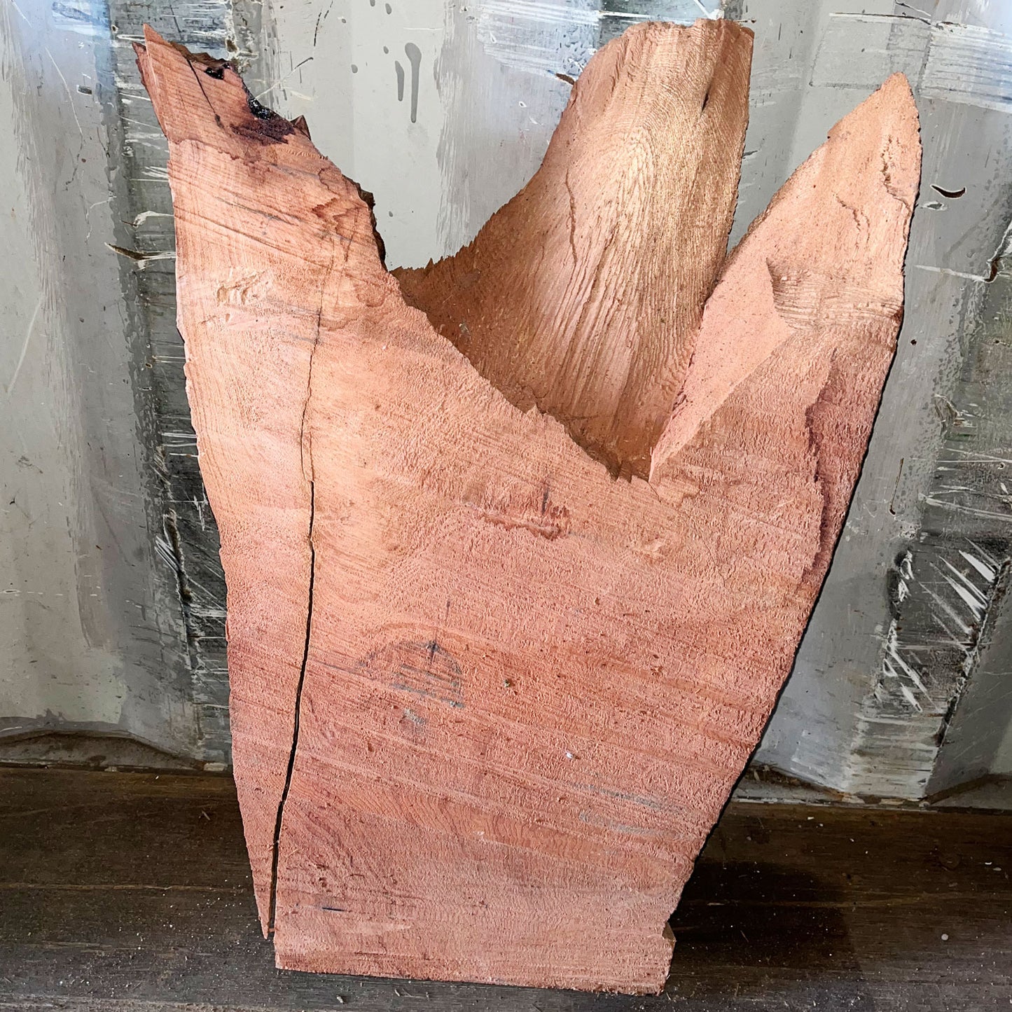 Giant Sequoia Live Edge Piece – 25" x 10.5" x 2" – Old Growth, Air-Dried – #GSP-43