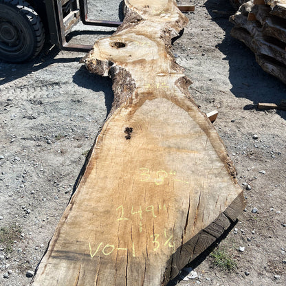 Heritage Valley Oak Live Edge Slab – 20.75' x 38" x 3.25" – Old Growth, Air-Dried – #VO-1