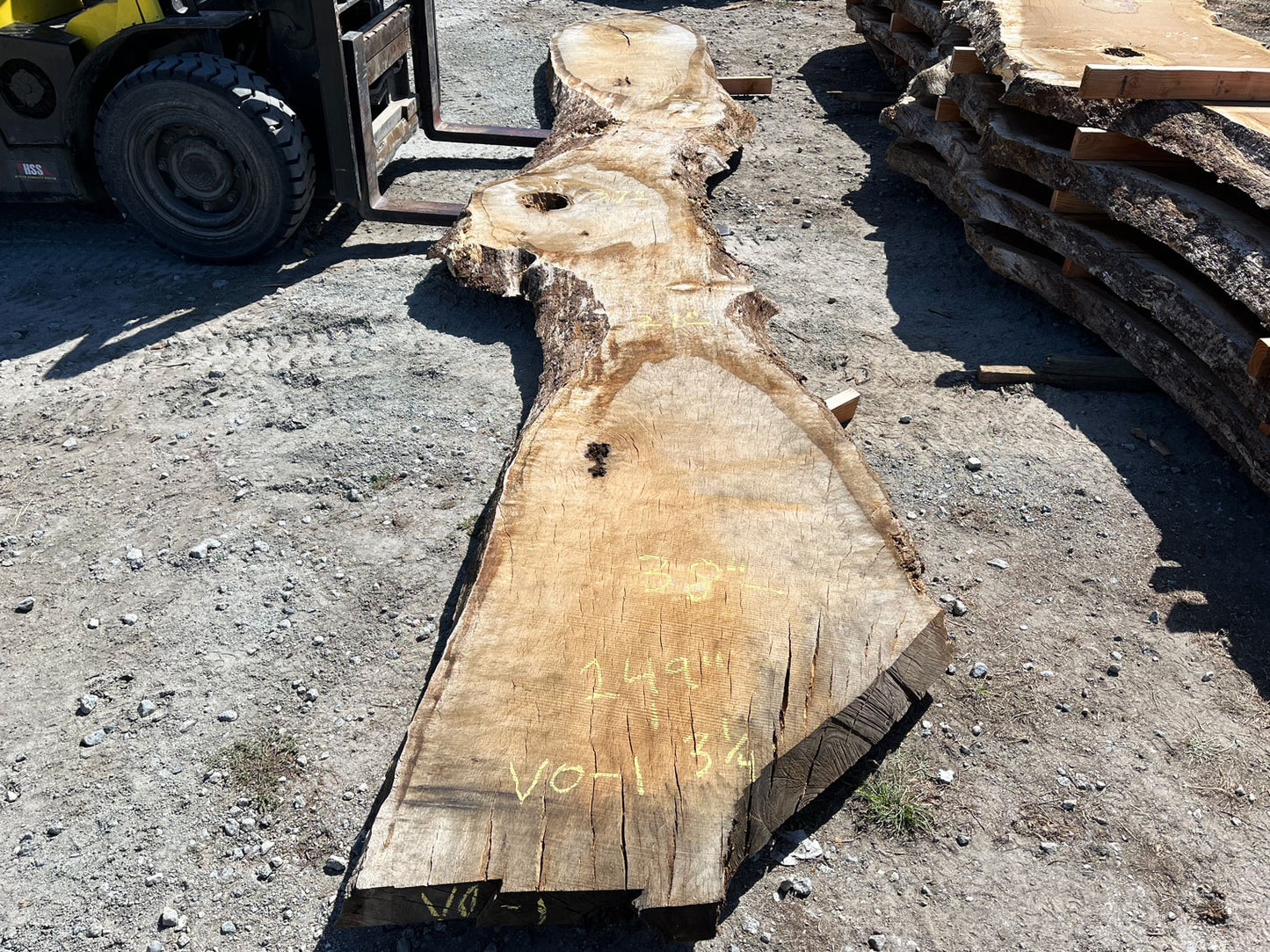 Heritage Valley Oak Live Edge Slab – 20.75' x 38" x 3.25" – Old Growth, Air-Dried – #VO-1
