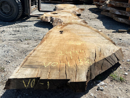 Heritage Valley Oak Live Edge Slab – 20.75' x 38" x 3.25" – Old Growth, Air-Dried – #VO-1