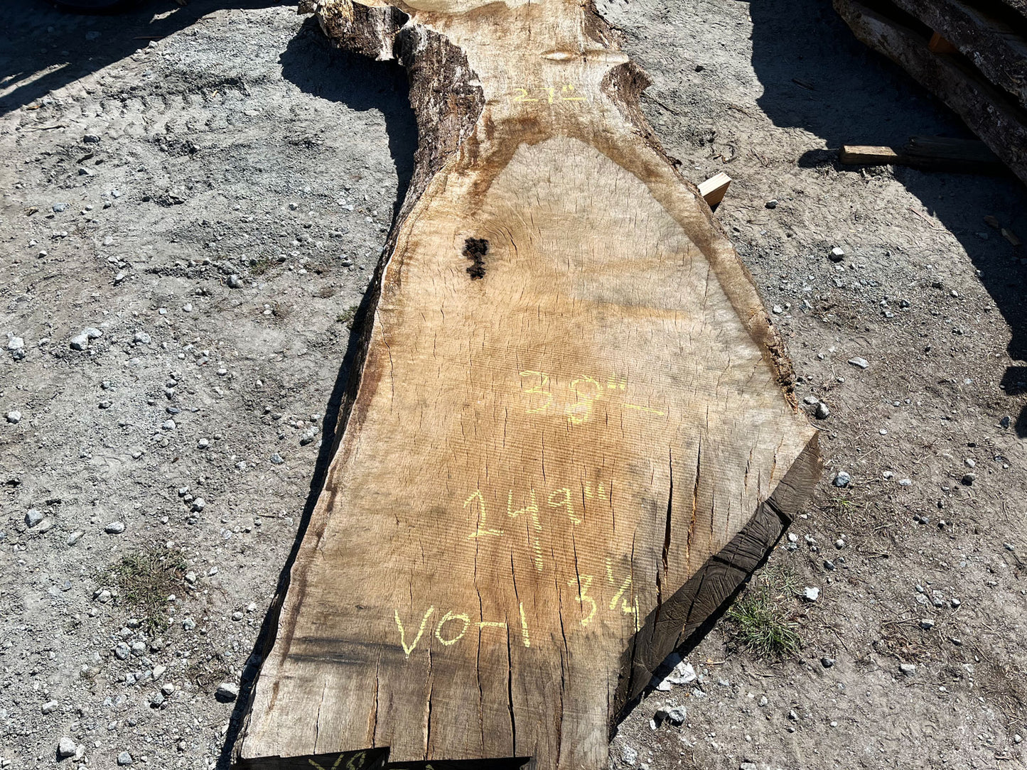 Heritage Valley Oak Live Edge Slab – 20.75' x 38" x 3.25" – Old Growth, Air-Dried – #VO-1