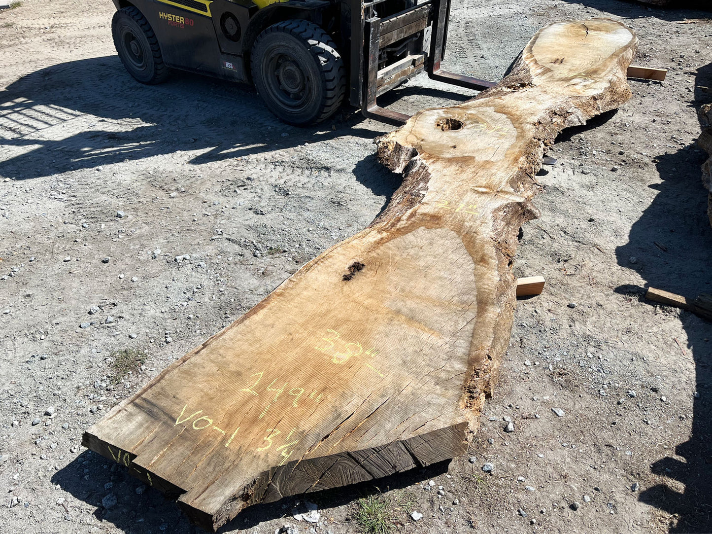 Heritage Valley Oak Live Edge Slab – 20.75' x 38" x 3.25" – Old Growth, Air-Dried – #VO-1