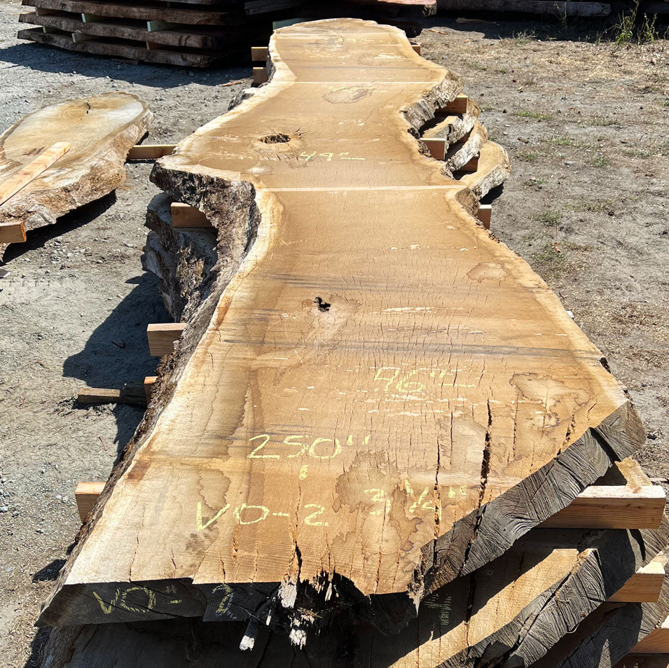 Heritage Valley Oak Live Edge Slab – 20.83' x 49" x 3.25" – Old Growth, Air-Dried – #VO-2
