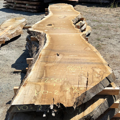 Heritage Valley Oak Live Edge Slab – 20.83' x 49" x 3.25" – Old Growth, Air-Dried – #VO-2