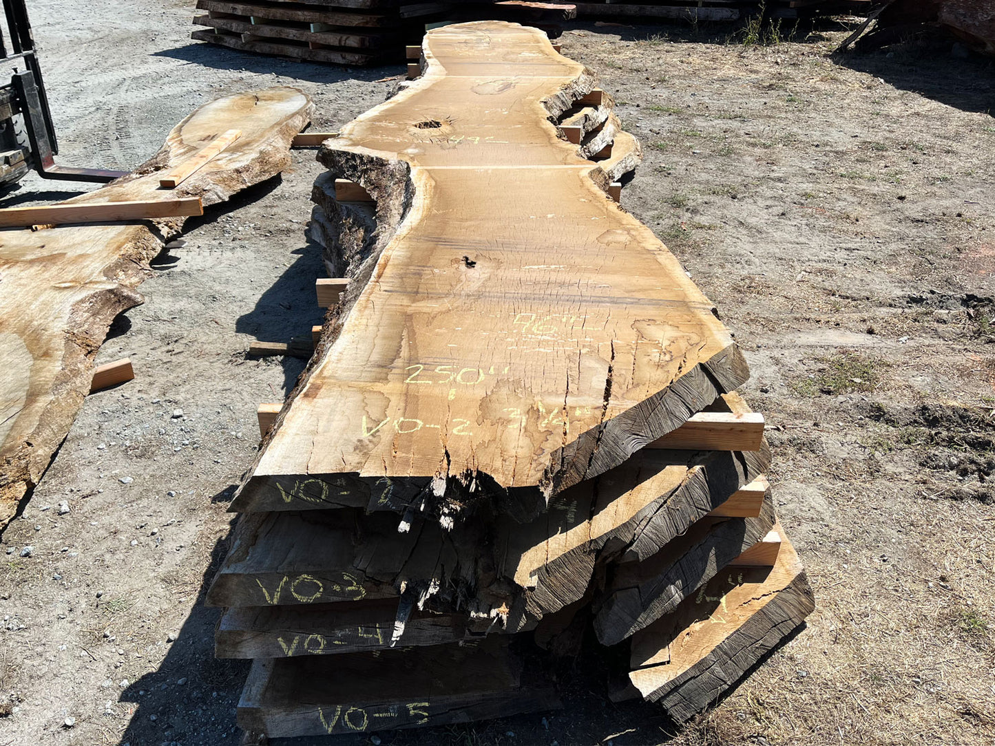 Heritage Valley Oak Live Edge Slab – 20.83' x 49" x 3.25" – Old Growth, Air-Dried – #VO-2