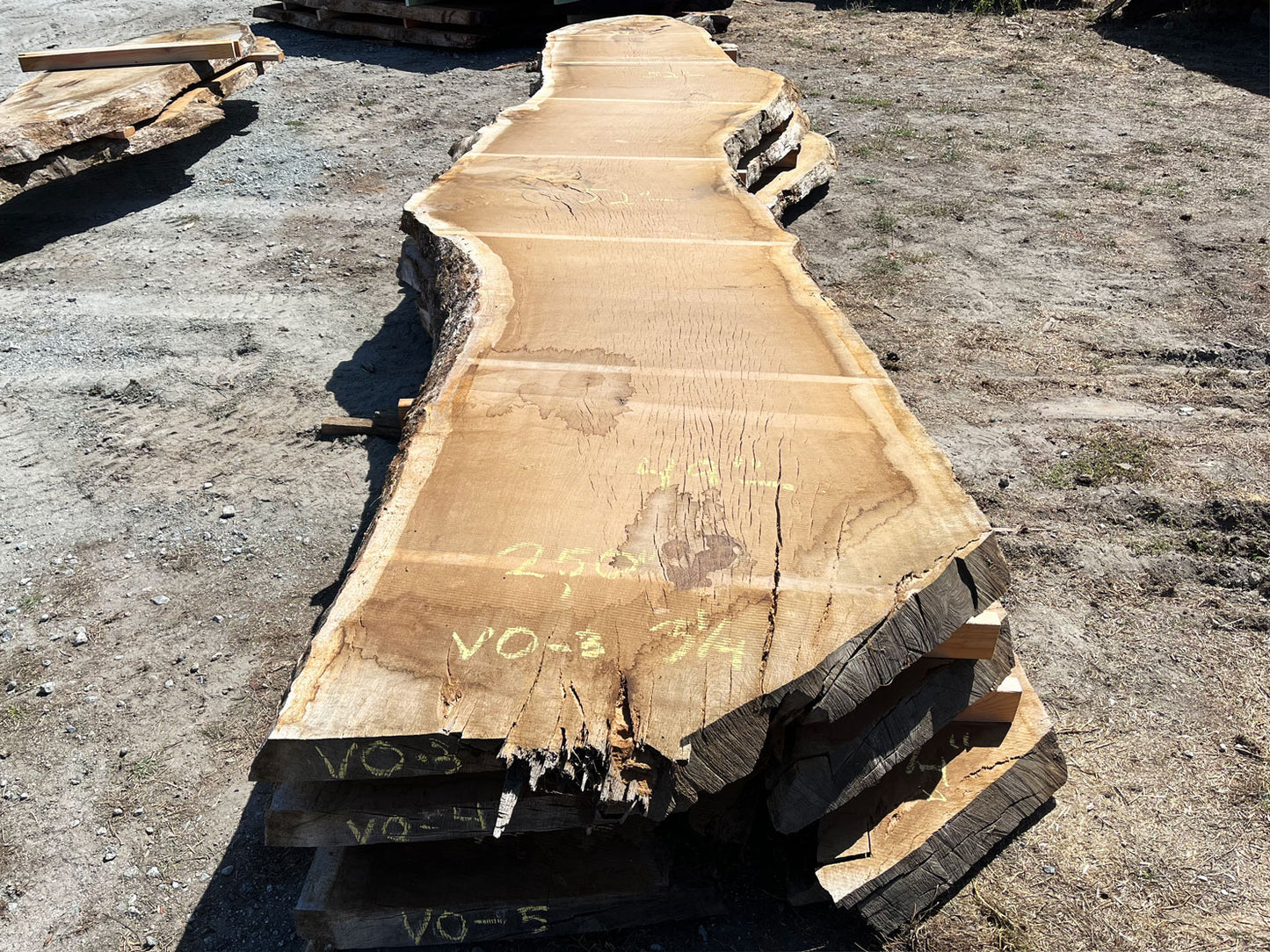 Heritage Valley Oak Live Edge Slab – 20.83' x 52" x 3.125" – Old Growth, Air-Dried – #VO-3