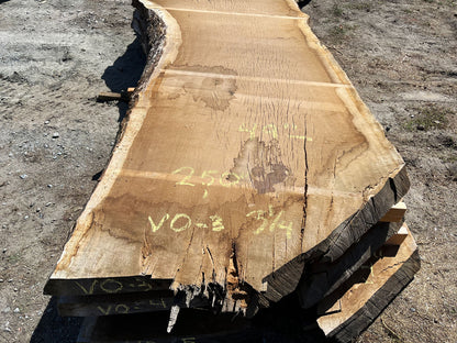 Heritage Valley Oak Live Edge Slab – 20.83' x 52" x 3.125" – Old Growth, Air-Dried – #VO-3