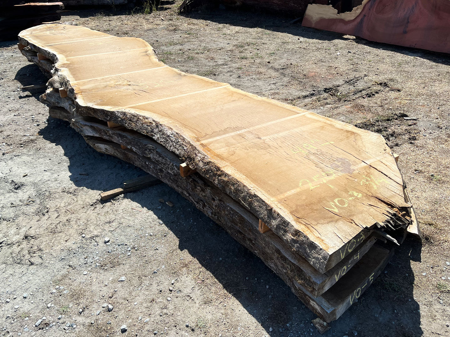 Heritage Valley Oak Live Edge Slab – 20.83' x 52" x 3.125" – Old Growth, Air-Dried – #VO-3