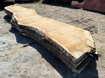 Heritage Valley Oak Live Edge Slab – 20.83' x 52" x 3.125" – Old Growth, Air-Dried – #VO-3