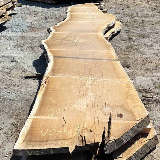 Heritage Valley Oak Live Edge Slab – 20.42' x 57" x 3" – Old Growth, Air-Dried – #VO-4