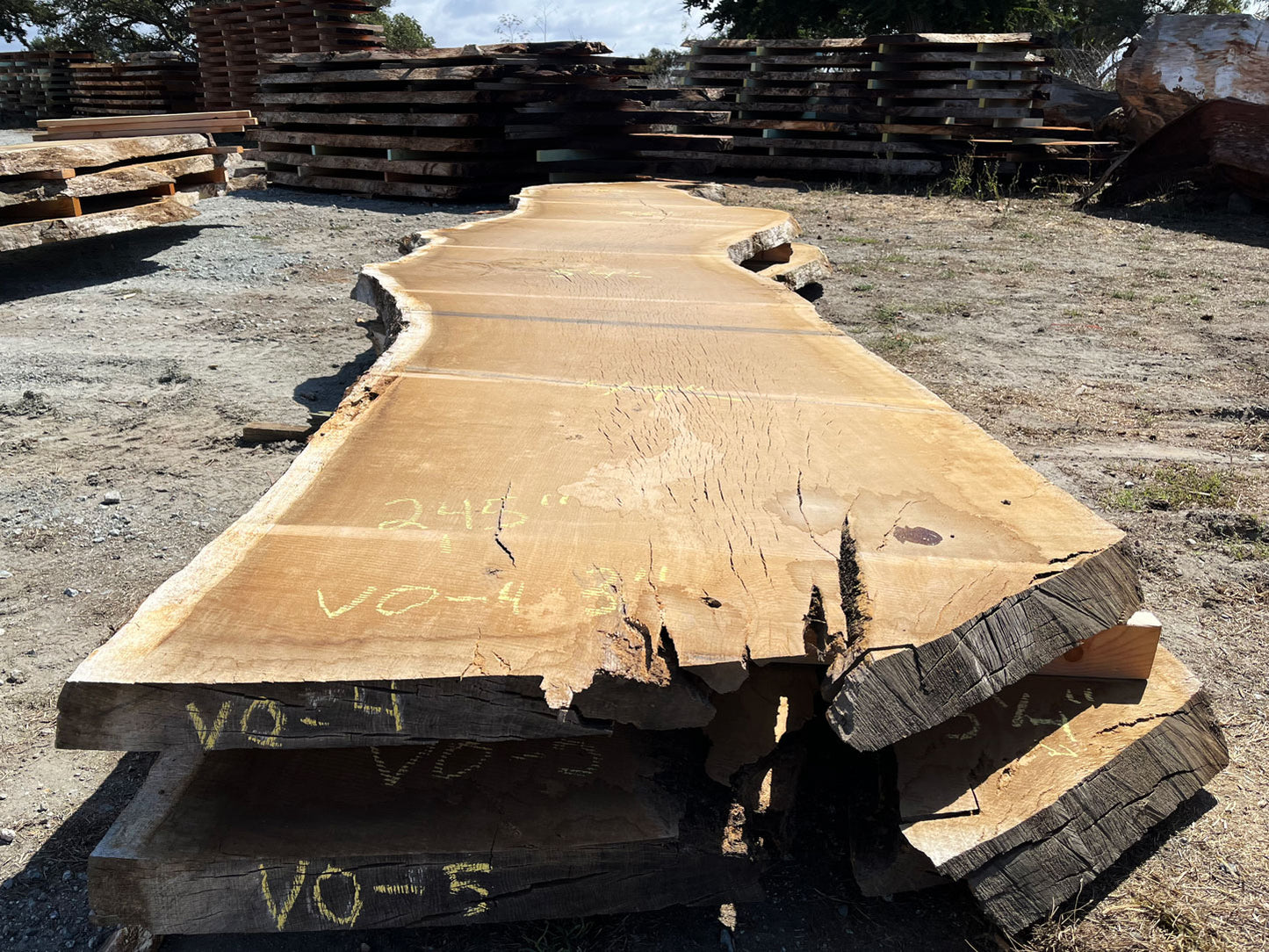 Heritage Valley Oak Live Edge Slab – 20.42' x 57" x 3" – Old Growth, Air-Dried – #VO-4