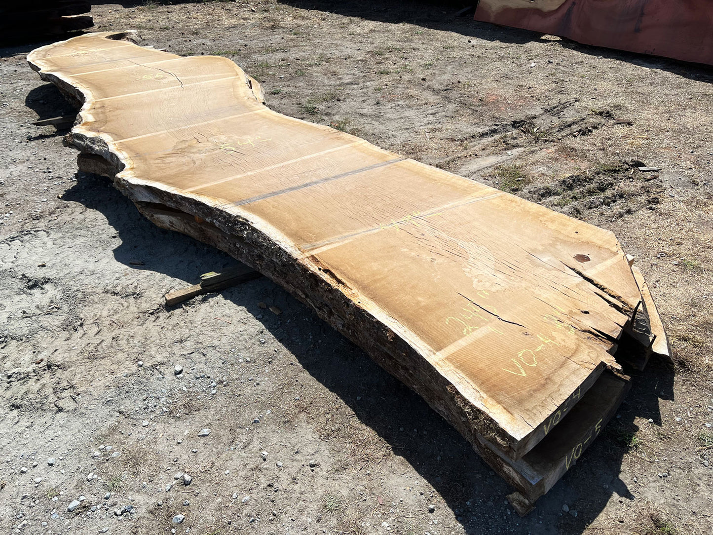 Heritage Valley Oak Live Edge Slab – 20.42' x 57" x 3" – Old Growth, Air-Dried – #VO-4