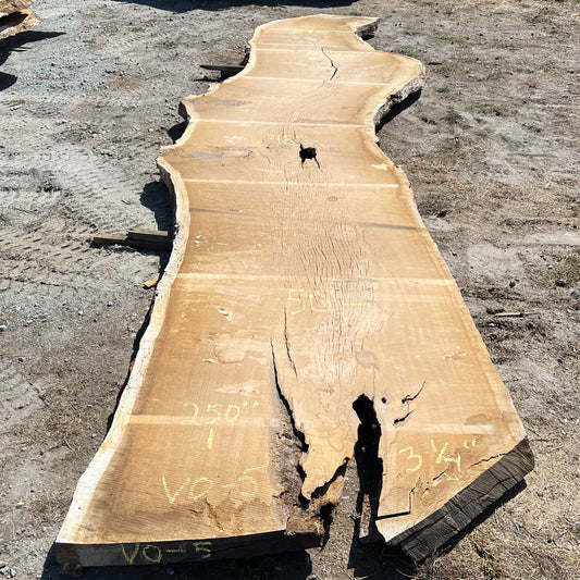 Heritage Valley Oak Live Edge Slab – 20.83' x 60" x 3.25" – Old Growth, Air-Dried – #VO-5
