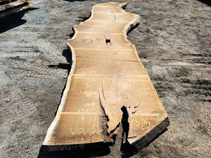Heritage Valley Oak Live Edge Slab – 20.83' x 60" x 3.25" – Old Growth, Air-Dried – #VO-5