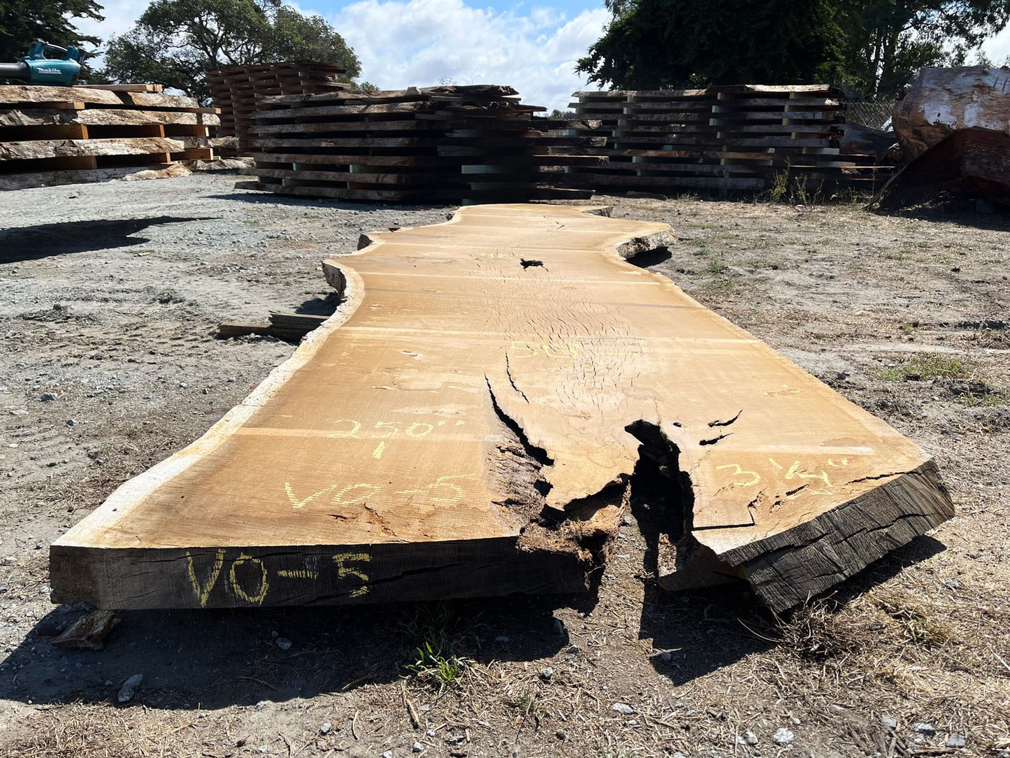 Heritage Valley Oak Live Edge Slab – 20.83' x 60" x 3.25" – Old Growth, Air-Dried – #VO-5