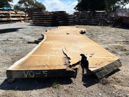 Heritage Valley Oak Live Edge Slab – 20.83' x 60" x 3.25" – Old Growth, Air-Dried – #VO-5