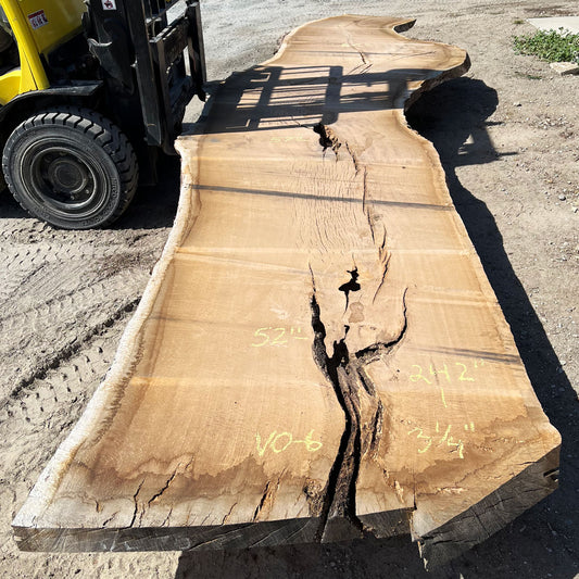Heritage Valley Oak Live Edge Slab – 20.17' x 64" x 3.25" – Old Growth, Air-Dried – #VO-6