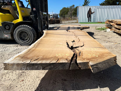 Heritage Valley Oak Live Edge Slab – 20.17' x 64" x 3.25" – Old Growth, Air-Dried – #VO-6
