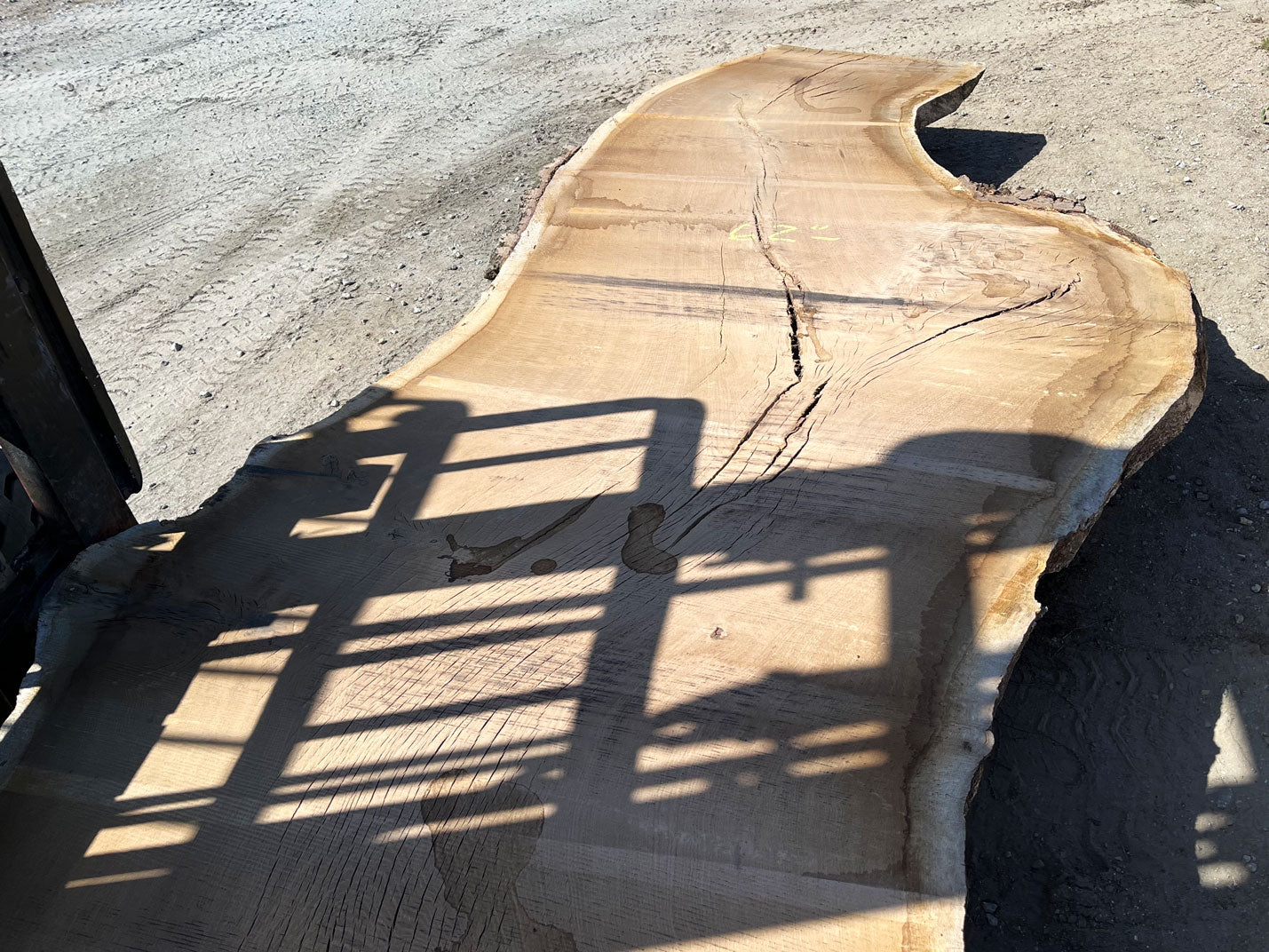 Heritage Valley Oak Live Edge Slab – 20.17' x 64" x 3.25" – Old Growth, Air-Dried – #VO-6