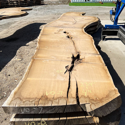 Heritage Valley Oak Live Edge Slab – 19.92' x 63" x 4" – Old Growth, Air-Dried – #VO-7