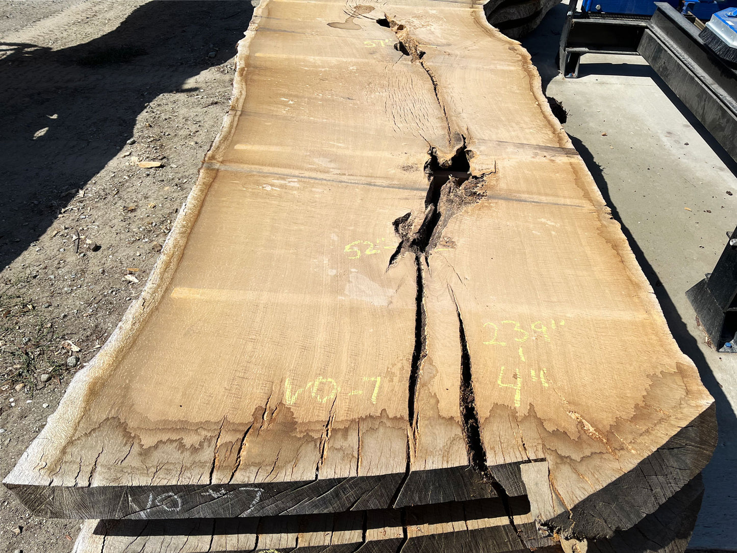 Heritage Valley Oak Live Edge Slab – 19.92' x 63" x 4" – Old Growth, Air-Dried – #VO-7