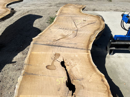 Heritage Valley Oak Live Edge Slab – 19.92' x 63" x 4" – Old Growth, Air-Dried – #VO-7