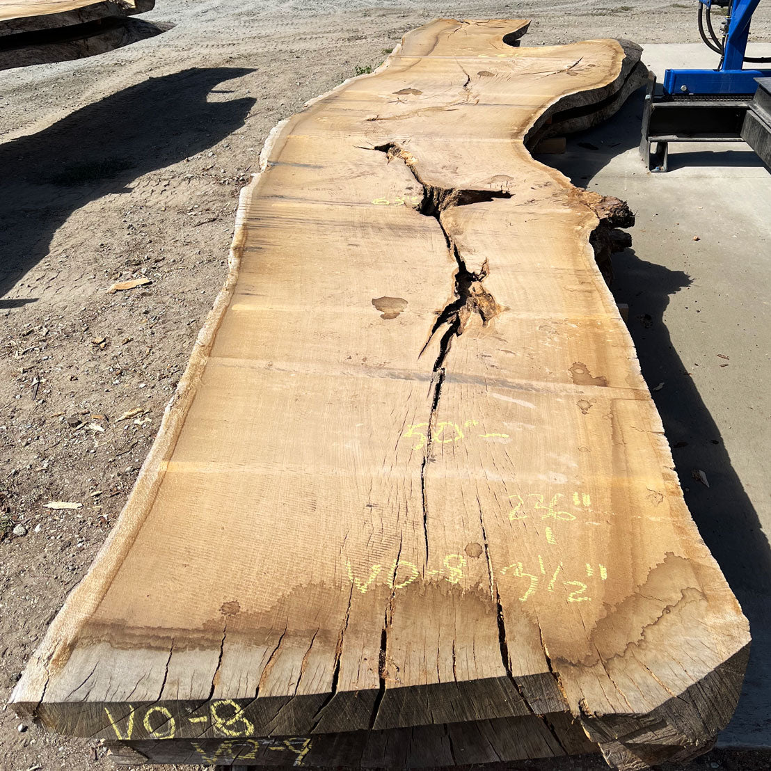 Heritage Valley Oak Live Edge Slab – 19.67' x 63" x 3.5" – Old Growth, Air-Dried – #VO-8