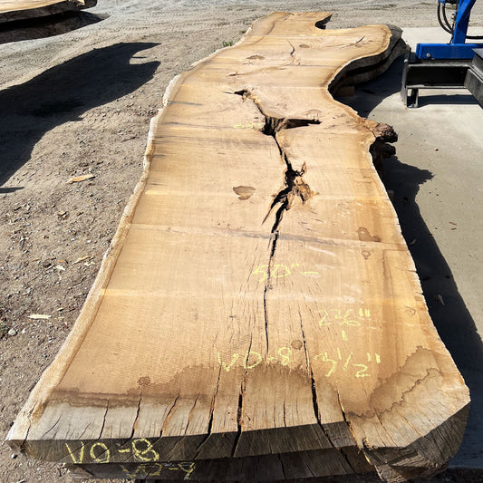 Heritage Valley Oak Live Edge Slab – 19.67' x 63" x 3.5" – Old Growth, Air-Dried – #VO-8