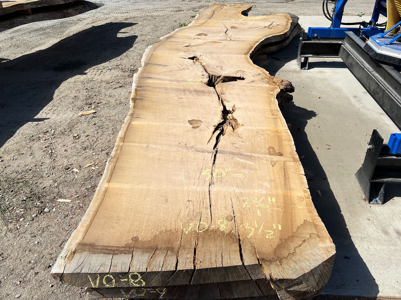Heritage Valley Oak Live Edge Slab – 19.67' x 63" x 3.5" – Old Growth, Air-Dried – #VO-8
