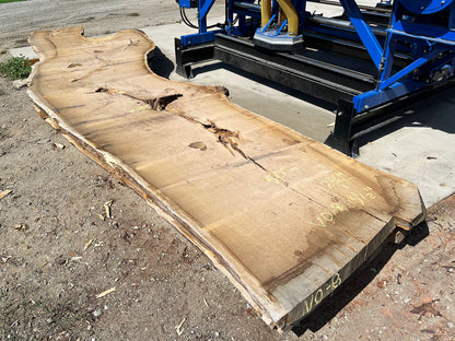 Heritage Valley Oak Live Edge Slab – 19.67' x 63" x 3.5" – Old Growth, Air-Dried – #VO-8