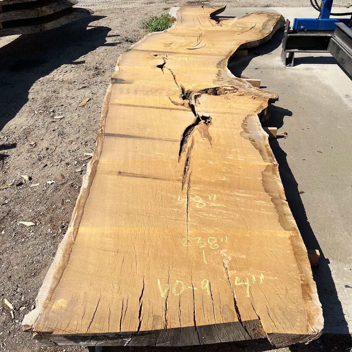 Heritage Valley Oak Live Edge Slab – 19.83' x 58" x 4" – Old Growth, Air-Dried – #VO-9