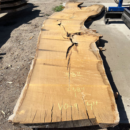 Heritage Valley Oak Live Edge Slab – 19.83' x 58" x 4" – Old Growth, Air-Dried – #VO-9