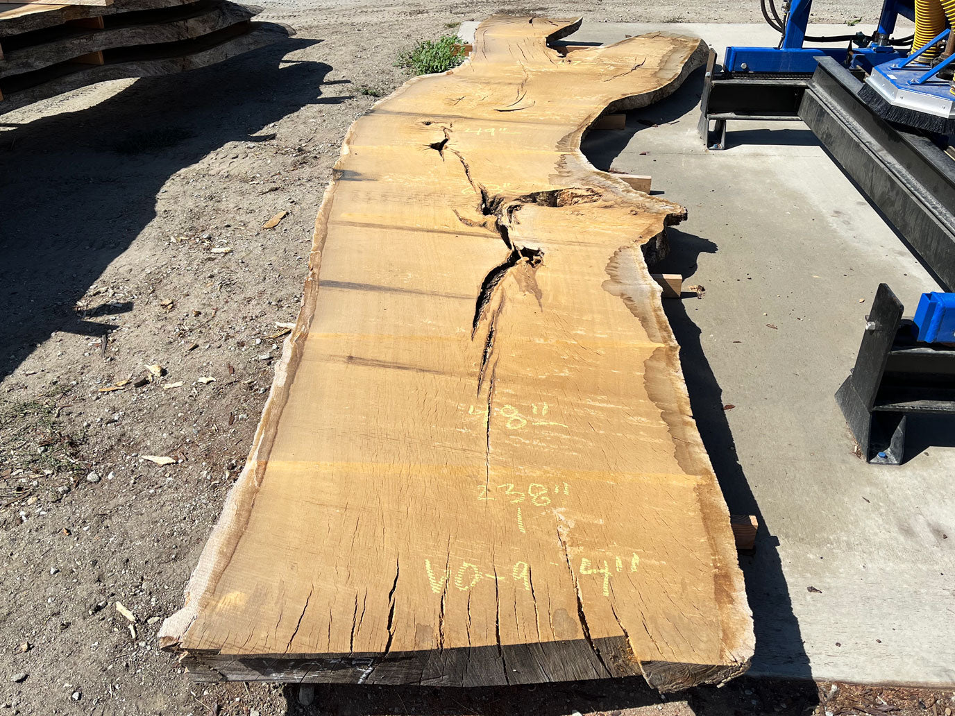 Heritage Valley Oak Live Edge Slab – 19.83' x 58" x 4" – Old Growth, Air-Dried – #VO-9