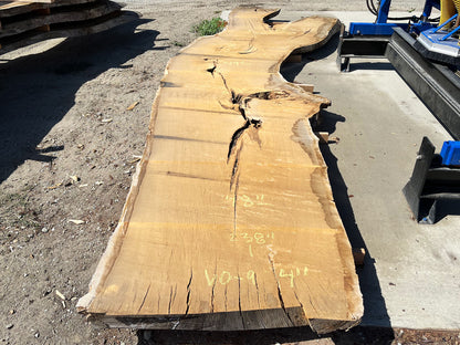 Heritage Valley Oak Live Edge Slab – 19.83' x 58" x 4" – Old Growth, Air-Dried – #VO-9