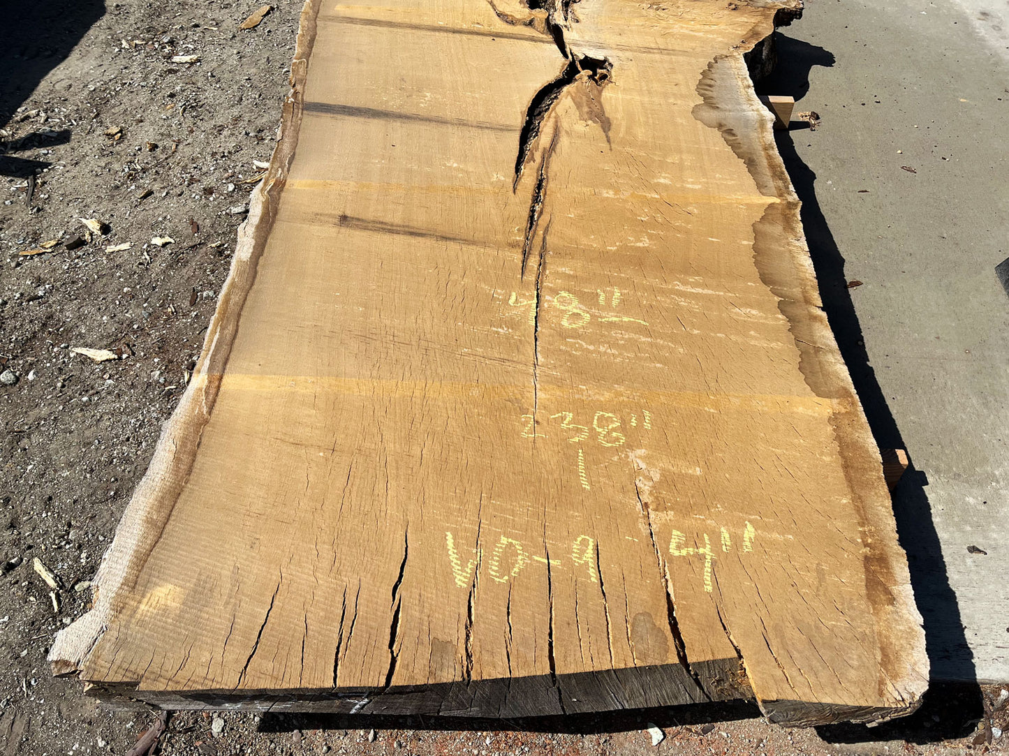 Heritage Valley Oak Live Edge Slab – 19.83' x 58" x 4" – Old Growth, Air-Dried – #VO-9