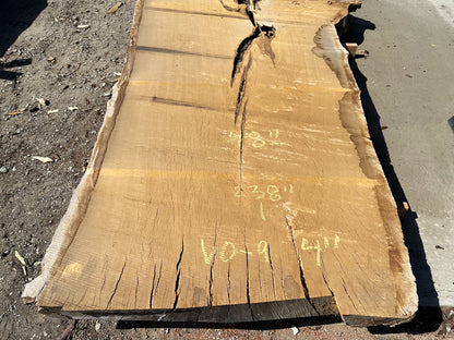 Heritage Valley Oak Live Edge Slab – 19.83' x 58" x 4" – Old Growth, Air-Dried – #VO-9